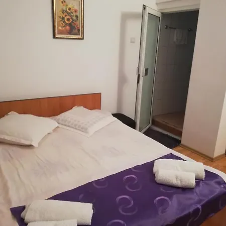 Pensiunea Broscuta *