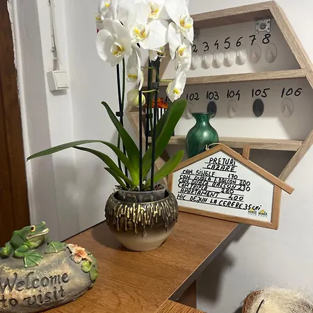 Pensiunea Broscuta Guest house