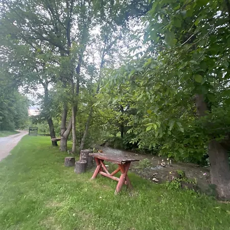 Pensiunea Broscuta Horezu