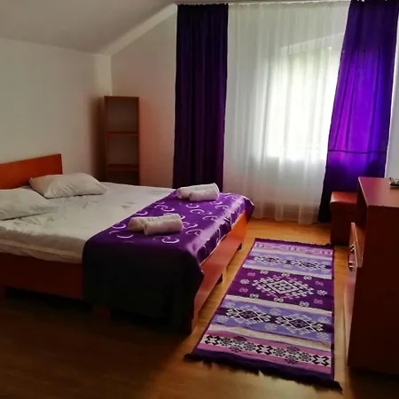 Guest house Pensiunea Broscuta *